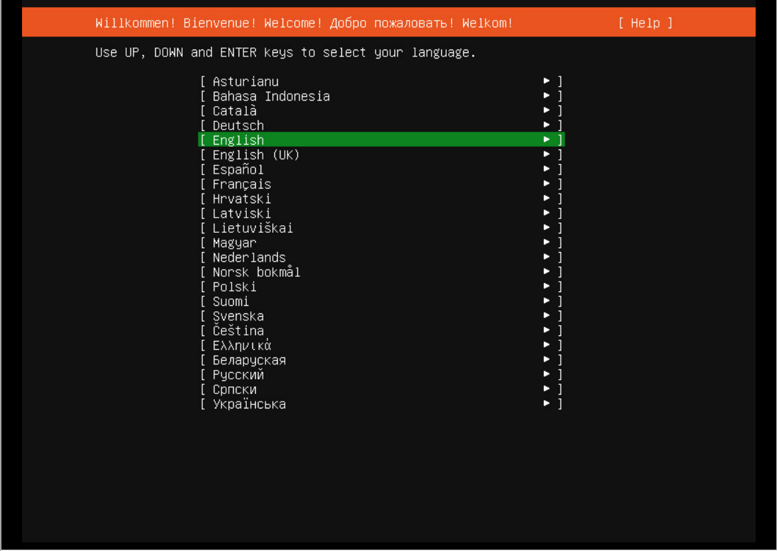 Установка Ubuntu Server 20.04 сервер без GUI изображение с сайта www.andreyolegovich.ru
