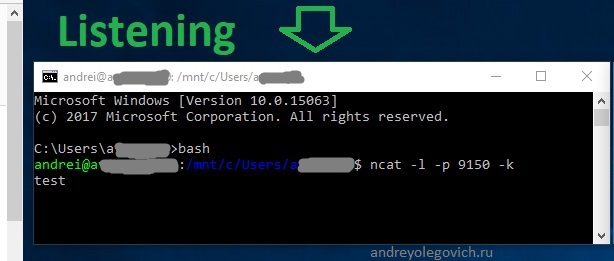 слушать порт с помощью ncat www.andreyolegovich.ru